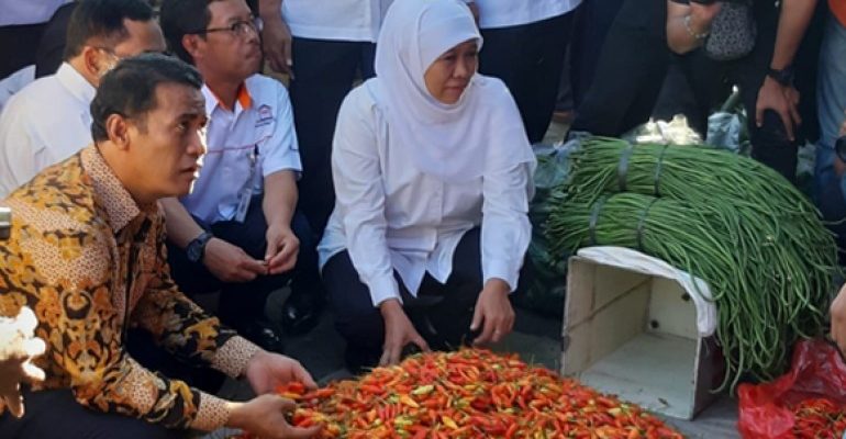 Baru Ada Empat Sni Benih Hortikultura – Dinas Pertanian And Pangan