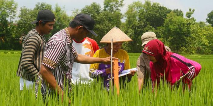 PEMBERDAYAAN MASYARAKAT BIDANG PERTANIAN DALAM KONTEKS PENYULUHAN ...