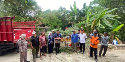 Bantuan Hijauan Pakan Ternak di Desa Tlogorejo Kec. Wonosalam